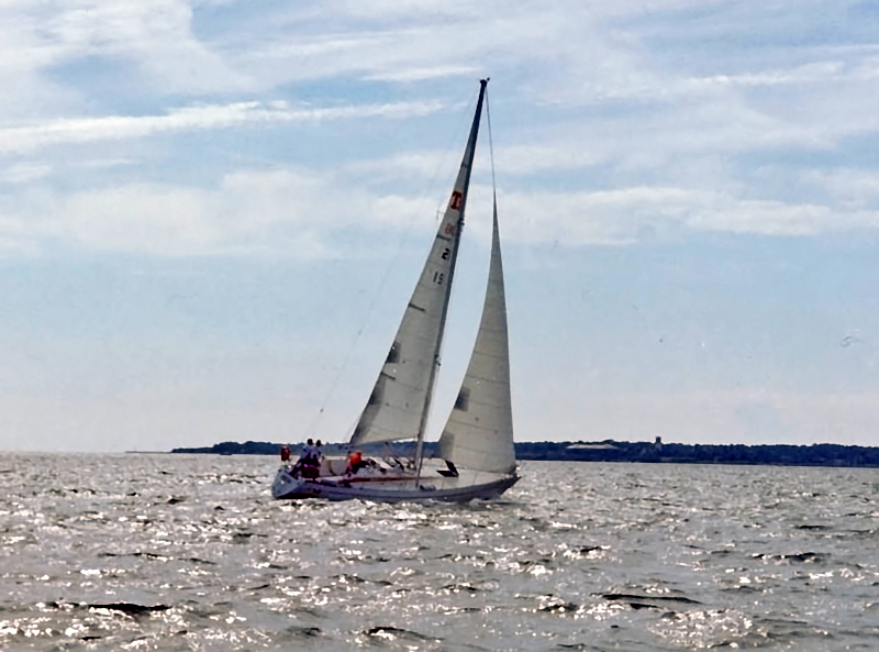 Tailwind 36 sales