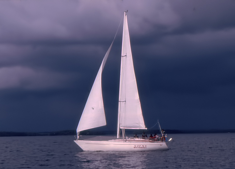 tailwind 36